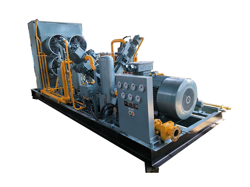 CNG standard station compressor