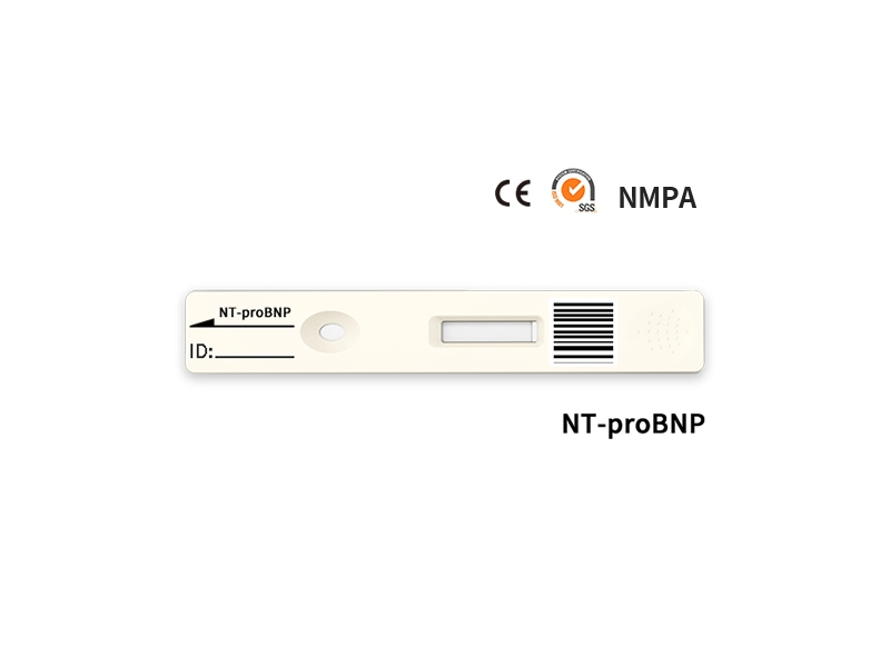 NT-proBNP การทดสอบเชิงปริมาณอย่างรวดเร็ว