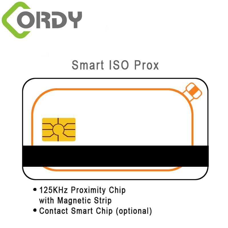 บัตรคู่ RFID พร้อมบัตรแถบแม่เหล็ก บัตรสัมผัส IC