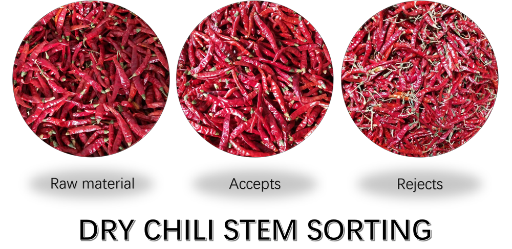 DRY CHILI STEM SORTING.png