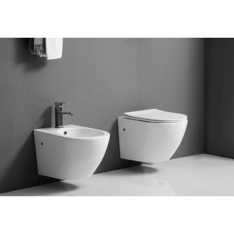 wall_mounted_white_ceramic_toilet_Wand-Hänge_WC_set_Hangtoilet-set_NEUNAS_T314SET