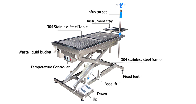 veterinary dental table