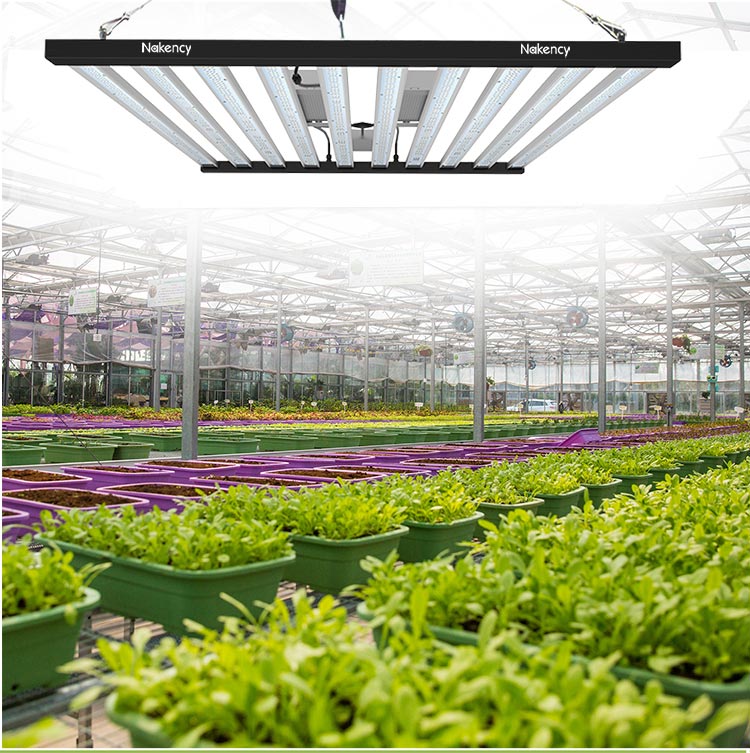 1200w grow led light