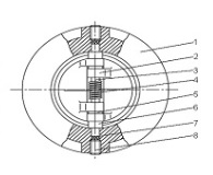 Dual plate check valve