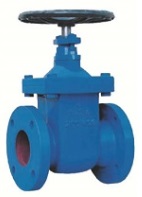 Cast iron gate valve non rising stem