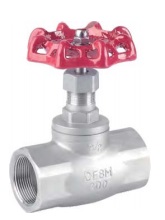 Socket end globe valve