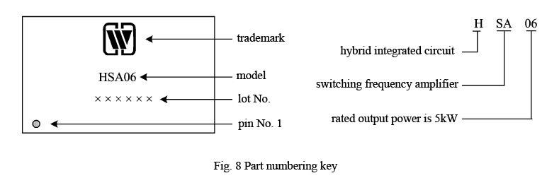 PWM amplifier (HSA06)