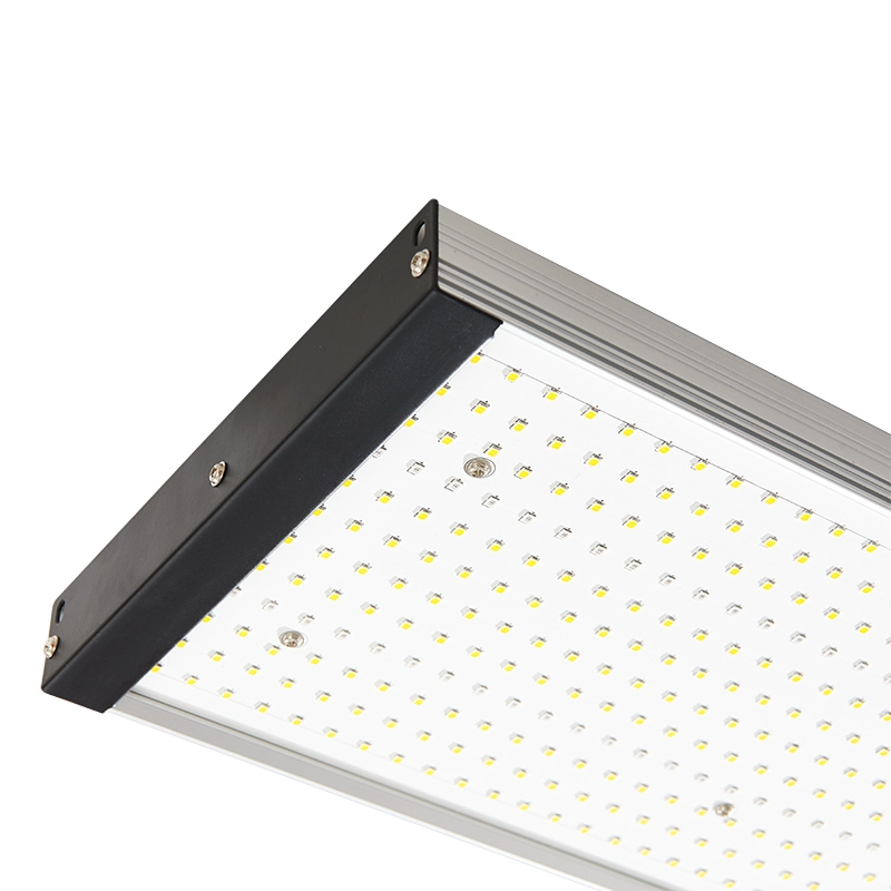 ใหม่ Hydroponic 300w Led Grow Lights เปลี่ยนสเปกตรัมเต็มสำหรับพืชในร่ม