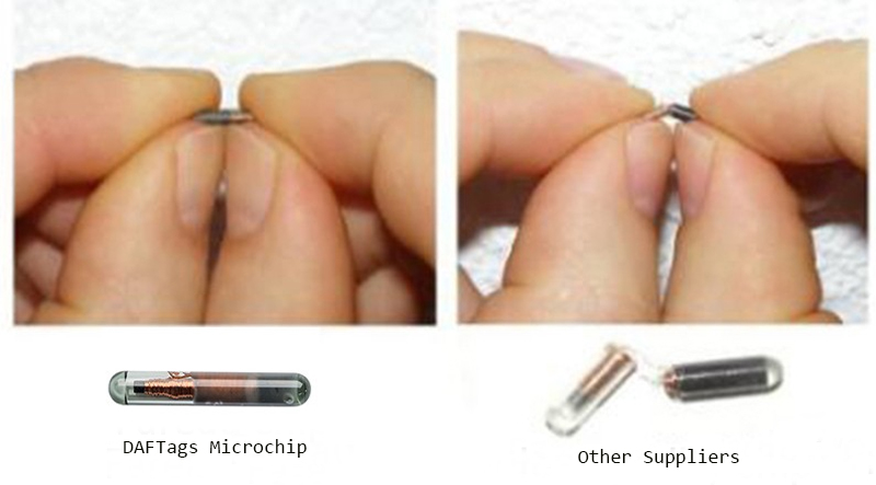แท็ก RFID Puppy Microchip โรงงานในจีน